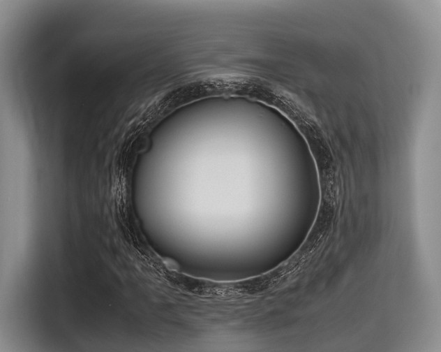 X0000115391061200911101448