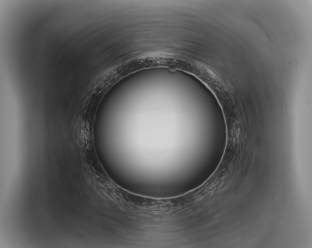 X0000115391062200911101448