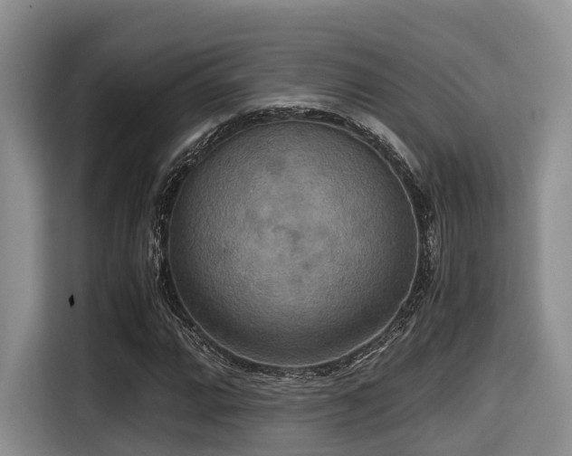 X0000115391064200911101448