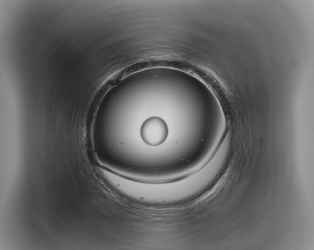X0000115391065200911101448