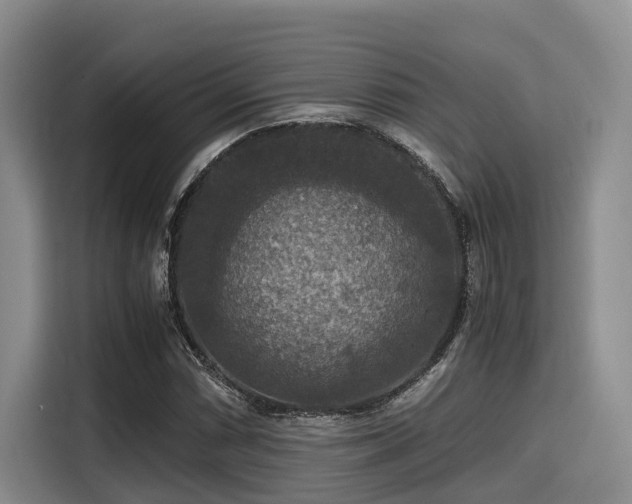X0000115391066200911101448