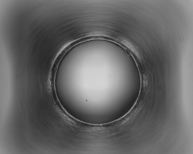 X0000115391068200911101448