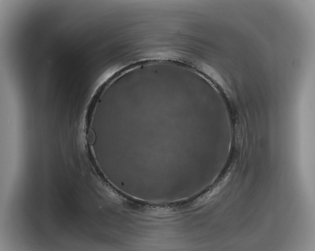 X0000115391071200911101447