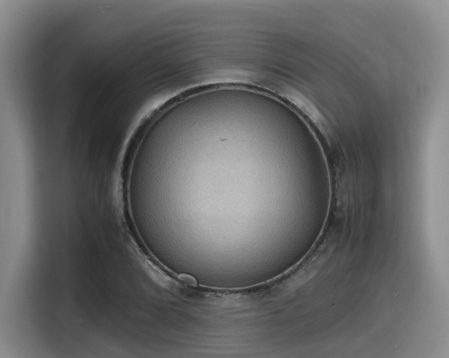X0000115391072200911101447