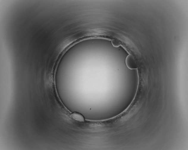 X0000115391073200911101447