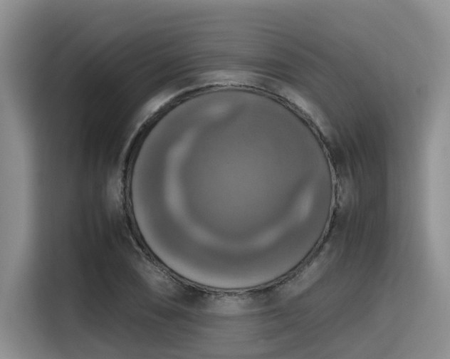 X0000115391074200911101447