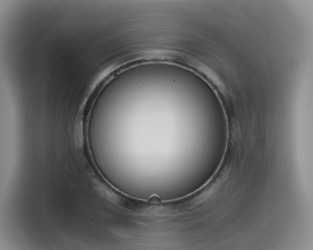 X0000115391075200911101447