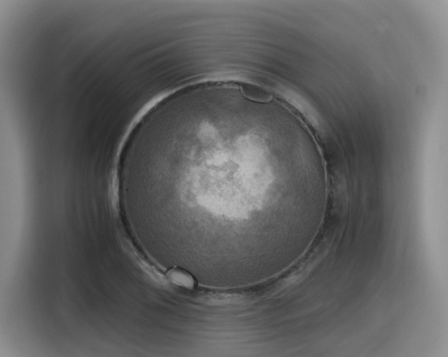 X0000115391076200911101447