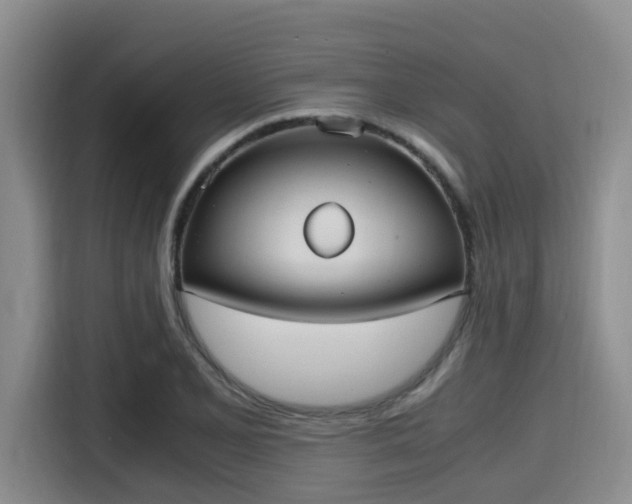 X0000115391077200911101447