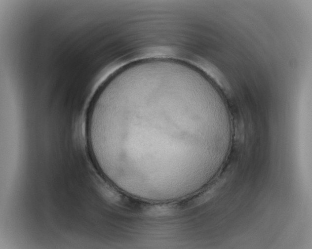 X0000115391078200911101447