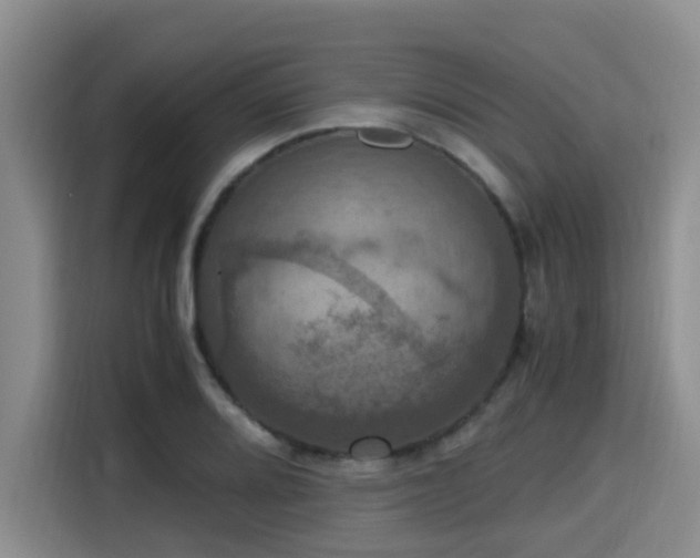 X0000115391080200911101447
