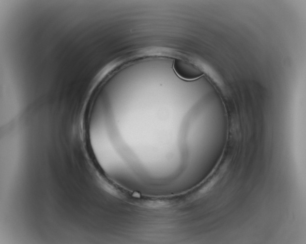 X0000115391082200911101447