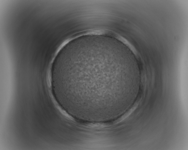 X0000115391083200911101447