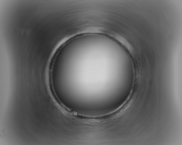 X0000115391085200911101447