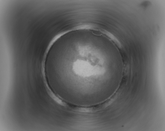 X0000115391086200911101447