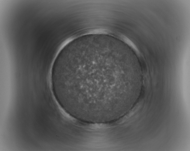 X0000115391087200911101447