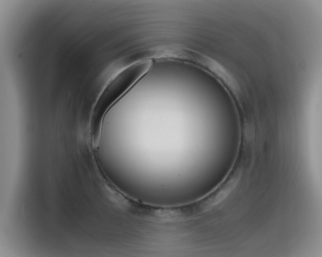 X0000115391089200911101447