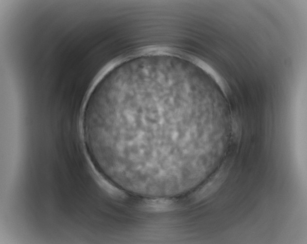 X0000115391090200911101447