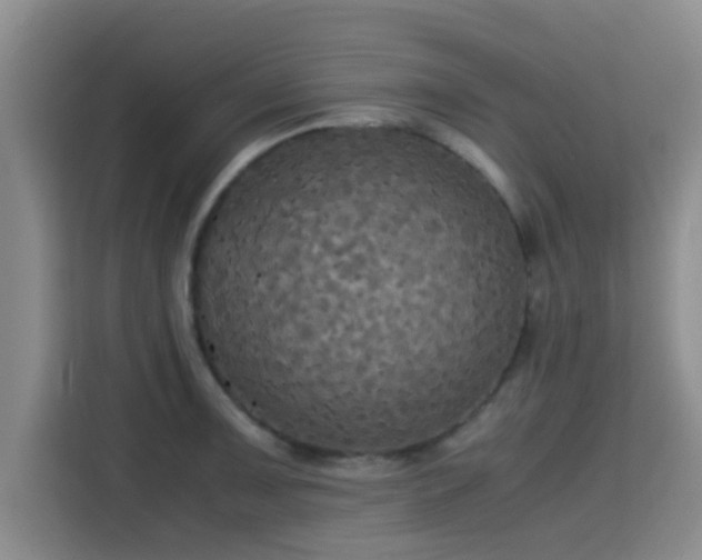 X0000115391091200911101447