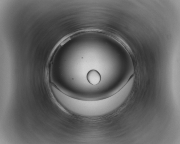 X0000115391092200911101447