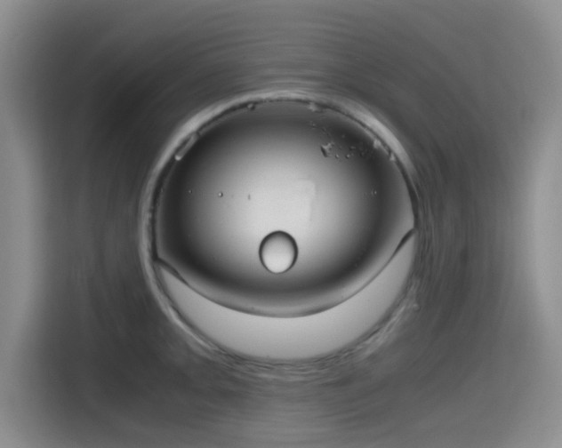 X0000115391093200911101447