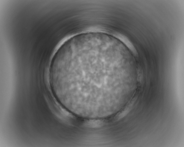 X0000115391094200911101447