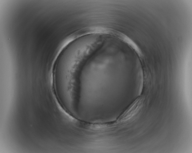 X0000115391095200911101447