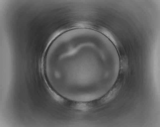 X0000115391098200911101447