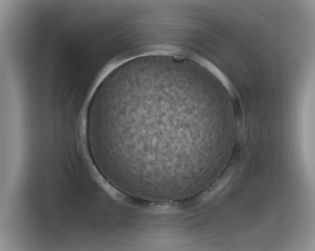 X0000115391099200911101447