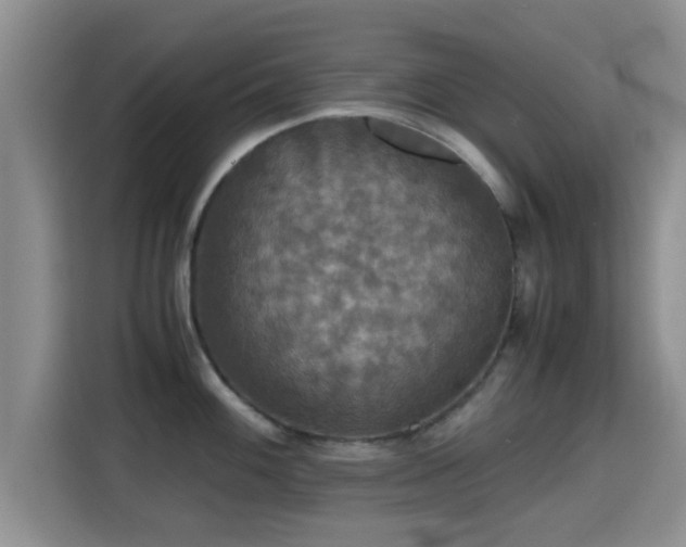 X0000115391100200911101447
