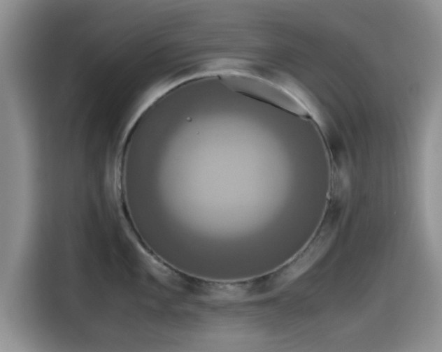 X0000115391101200911101447