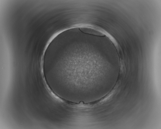 X0000115391102200911101447