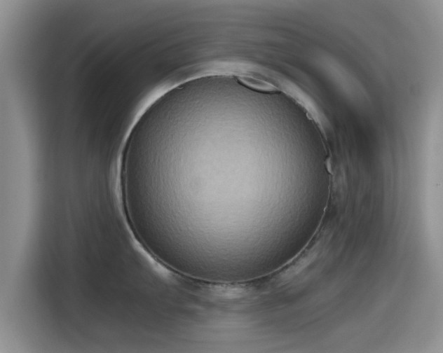 X0000115391103200911101447