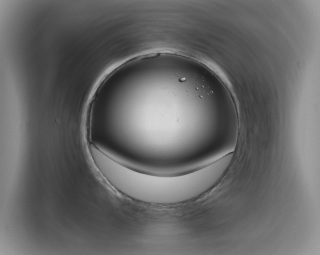 X0000115391104200911101447