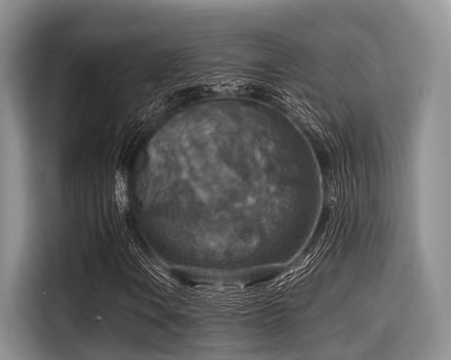 X0000115391106200911101446
