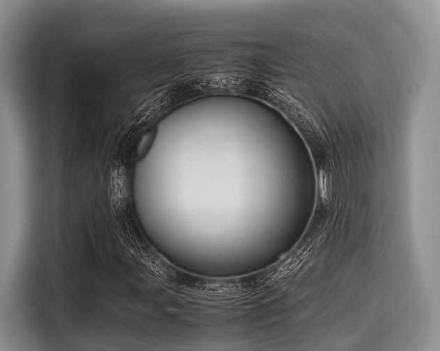 X0000115391107200911101446