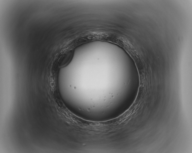 X0000115391109200911101446