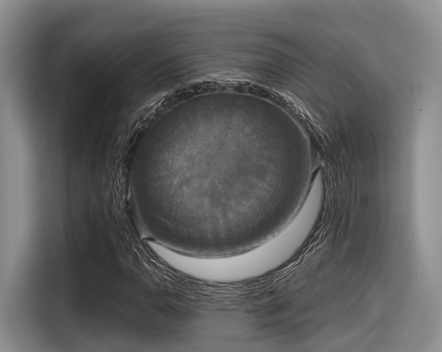 X0000115391110200911101447