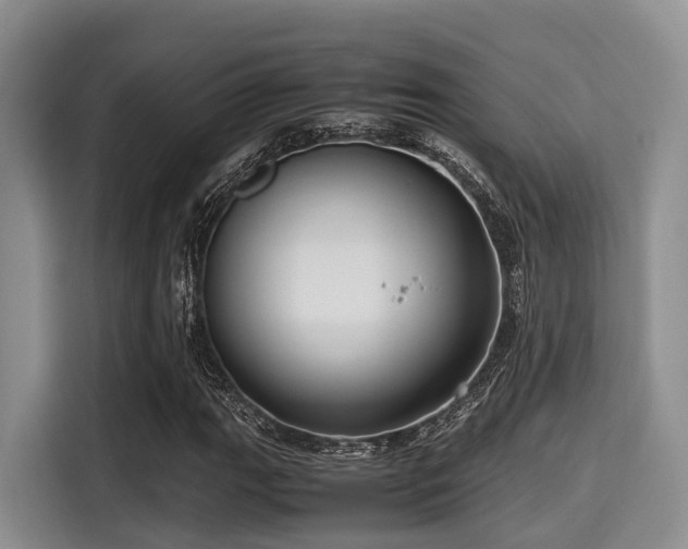 X0000115391111200911101447