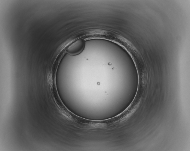 X0000115391113200911101447