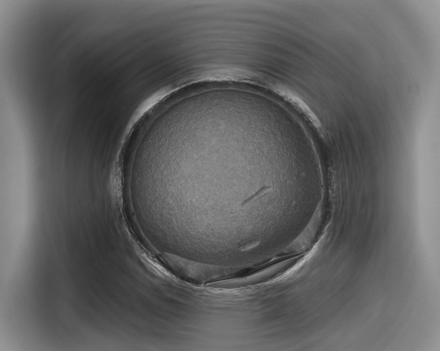X0000115391114200911101447