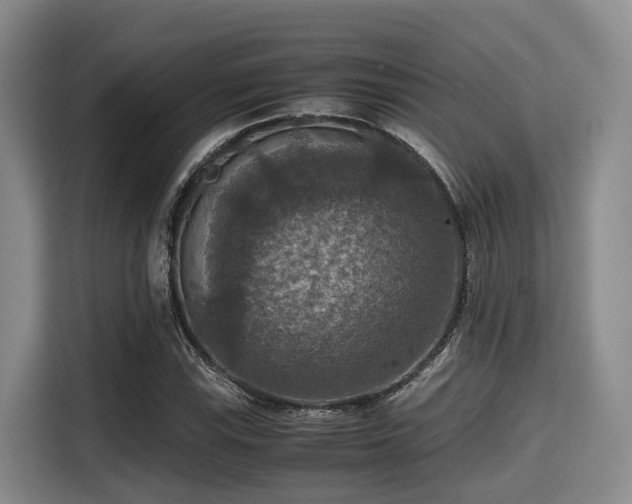 X0000115391115200911101447