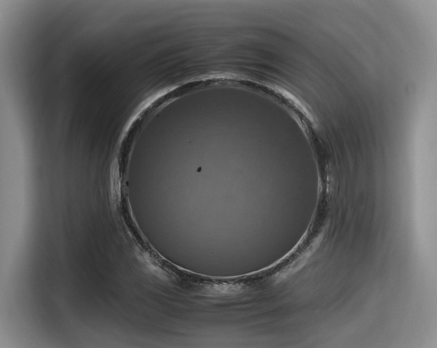 X0000115391117200911101447