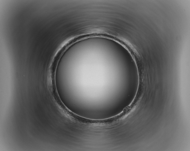 X0000115391118200911101447