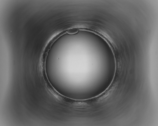 X0000115391119200911101447