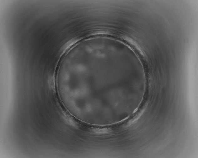 X0000115391121200911101447