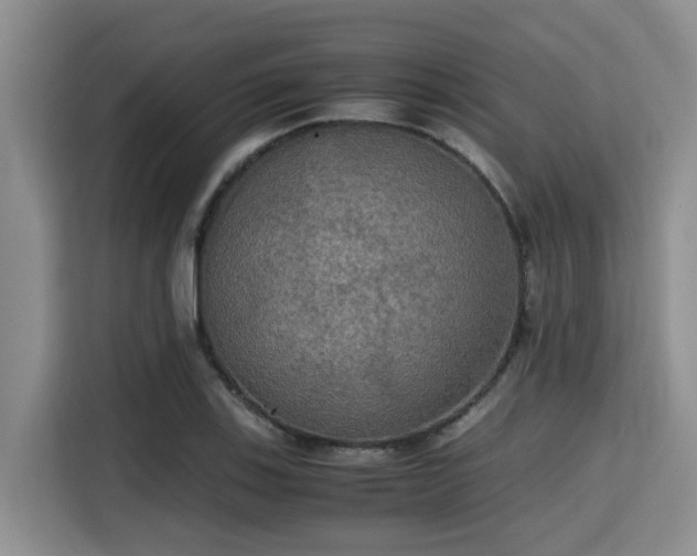 X0000115391123200911101447