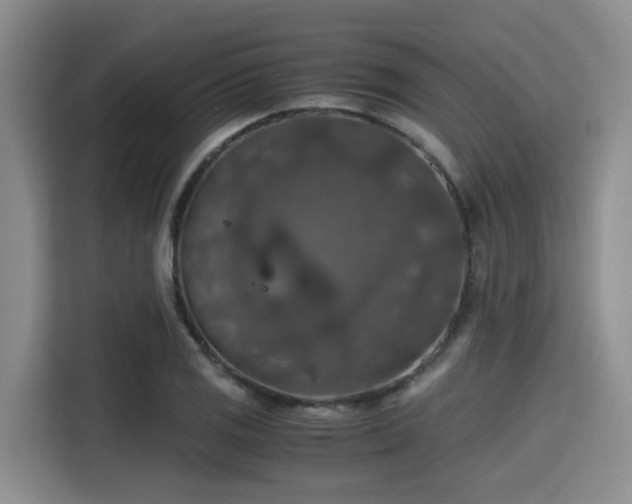 X0000115391125200911101447