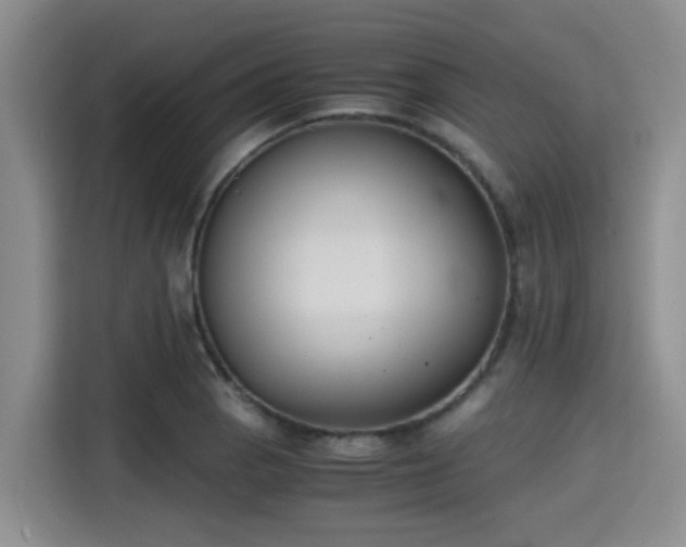 X0000115391129200911101447