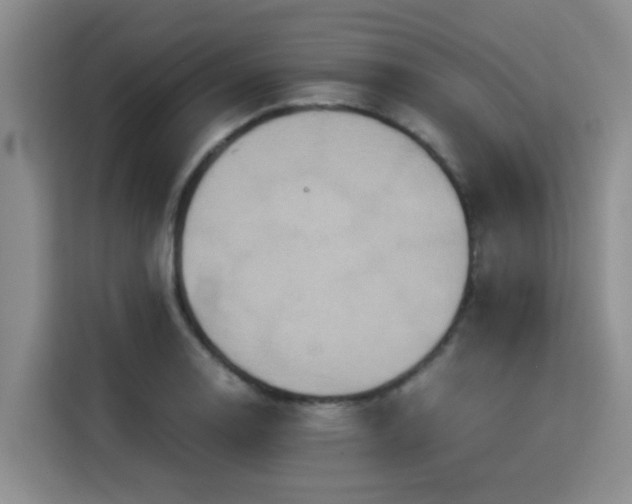 X0000115391130200911101447